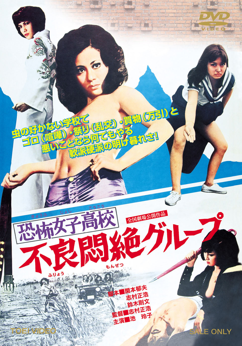 恐怖女子高校 不良悶絶グループ[R‐18＋] – 東映ビデオオンライン
