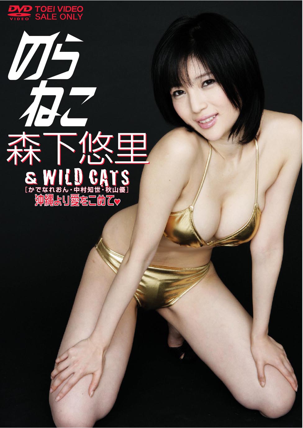 のらねこ　森下悠里 & WILD CATS/かでなれおん・中村知世・秋山優　沖縄より愛をこめて