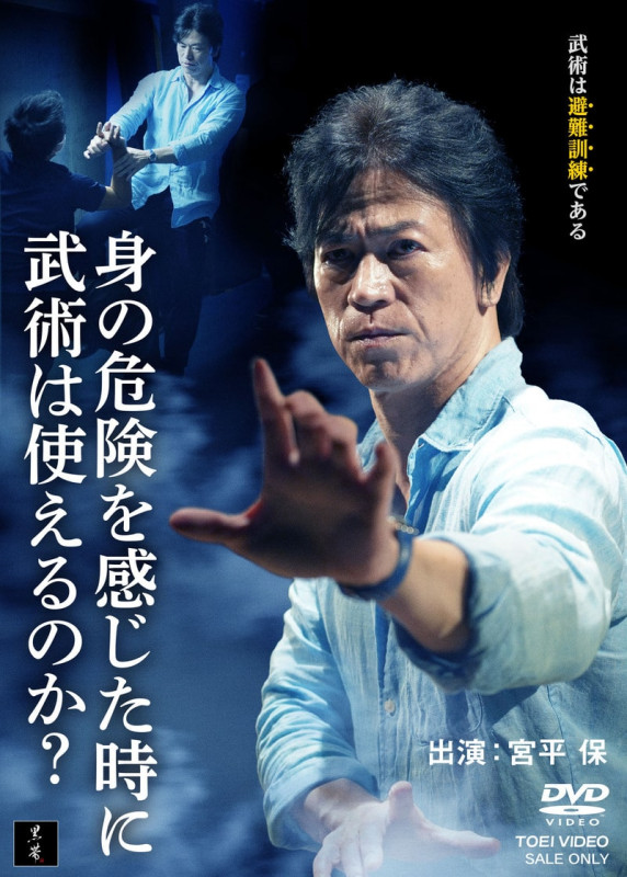 宮平保 身の危険を感じた時に武術は使えるのか？ DVD-