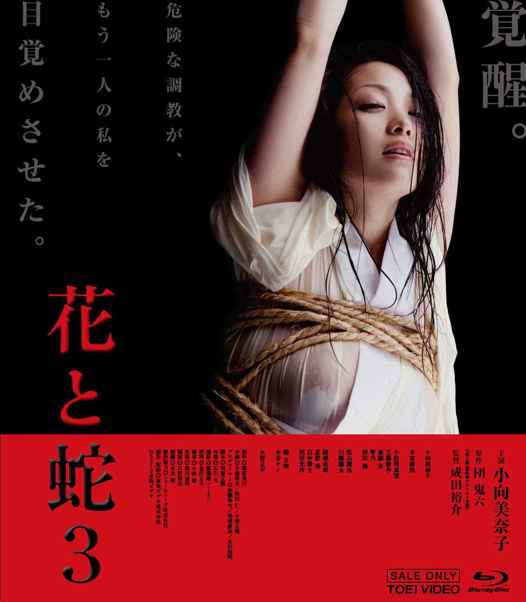 花と蛇3[Blu-ray][成人指定]__BSTD03314.jpg