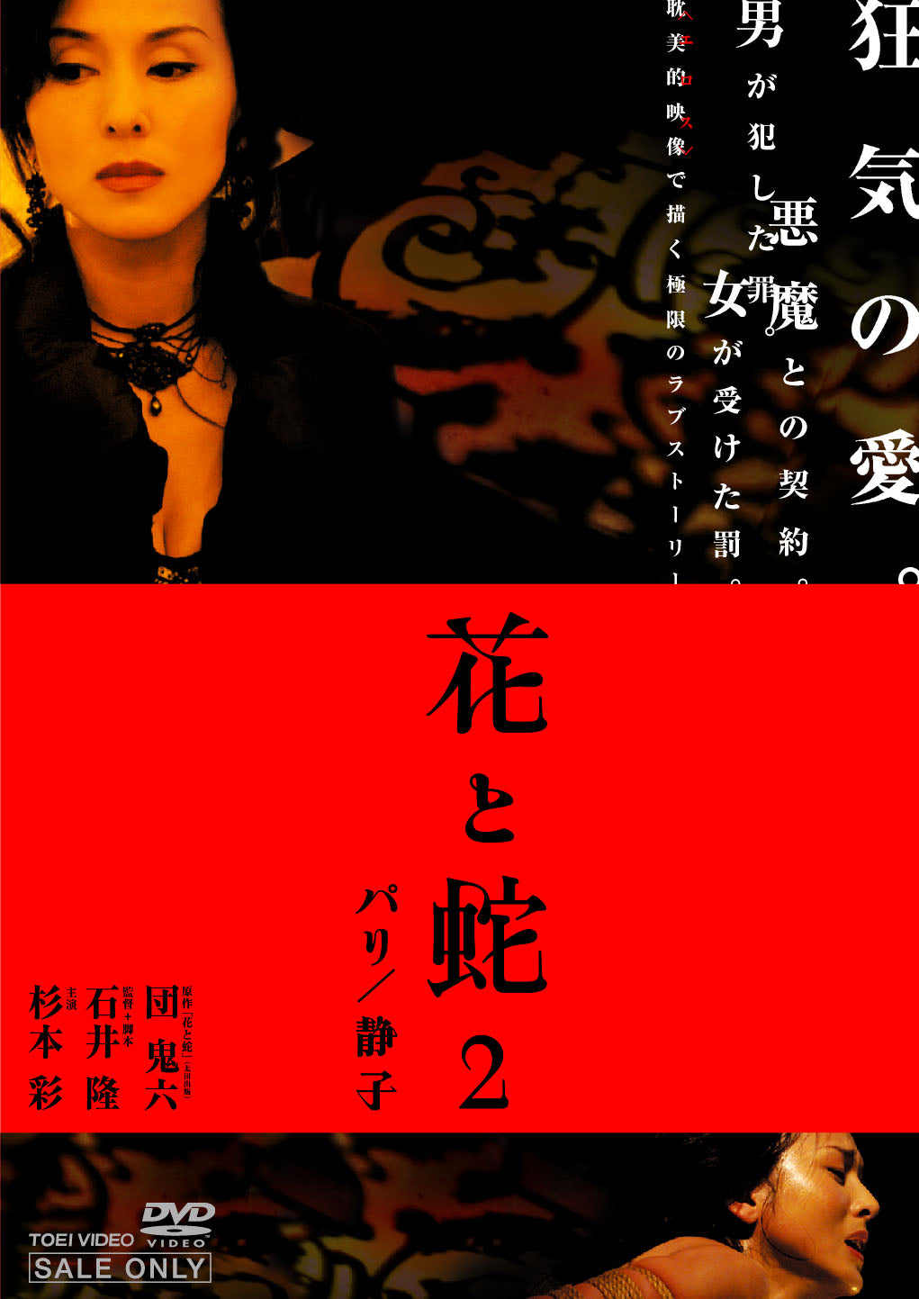 花と蛇2　パリ/静子[成人指定]__DSTD02450.jpg