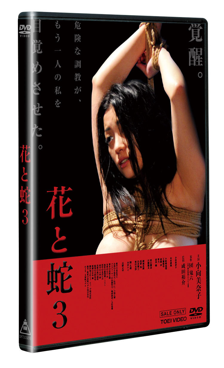 花と蛇3　特別版[成人指定]__DSTD03315.jpg