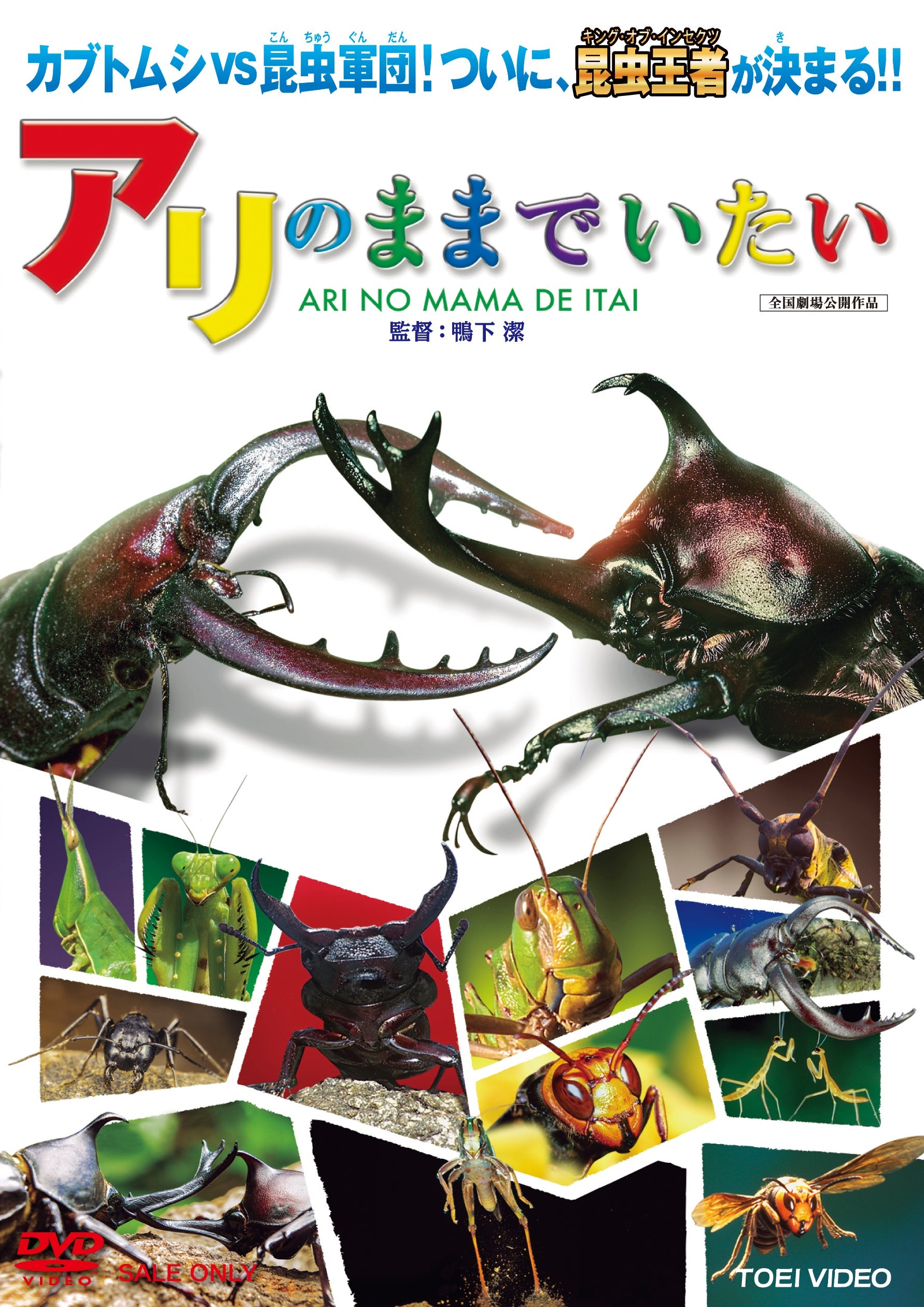 アリのままでいたい__DSTD03888.jpg