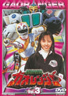 百獣戦隊ガオレンジャー Vol.3__DSTD06123.jpg