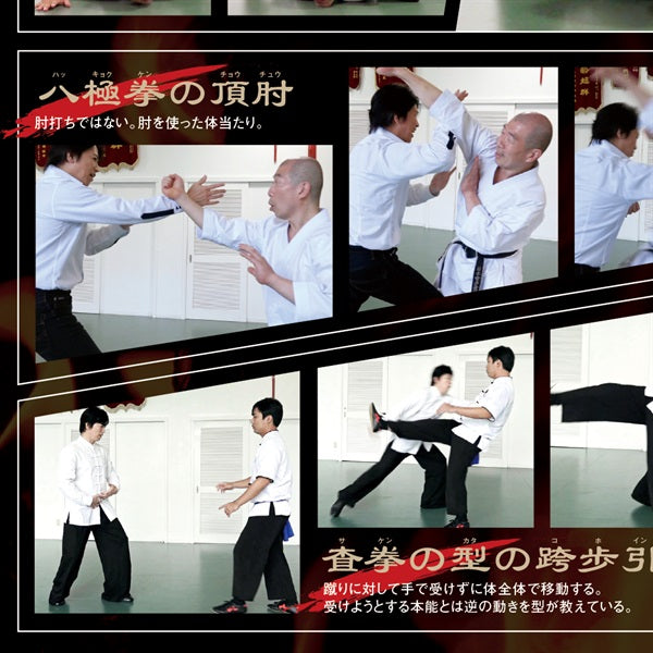 大いなる遺産 ～中国武術 ～」DVD＋スペシャルファンブック【愛蔵版