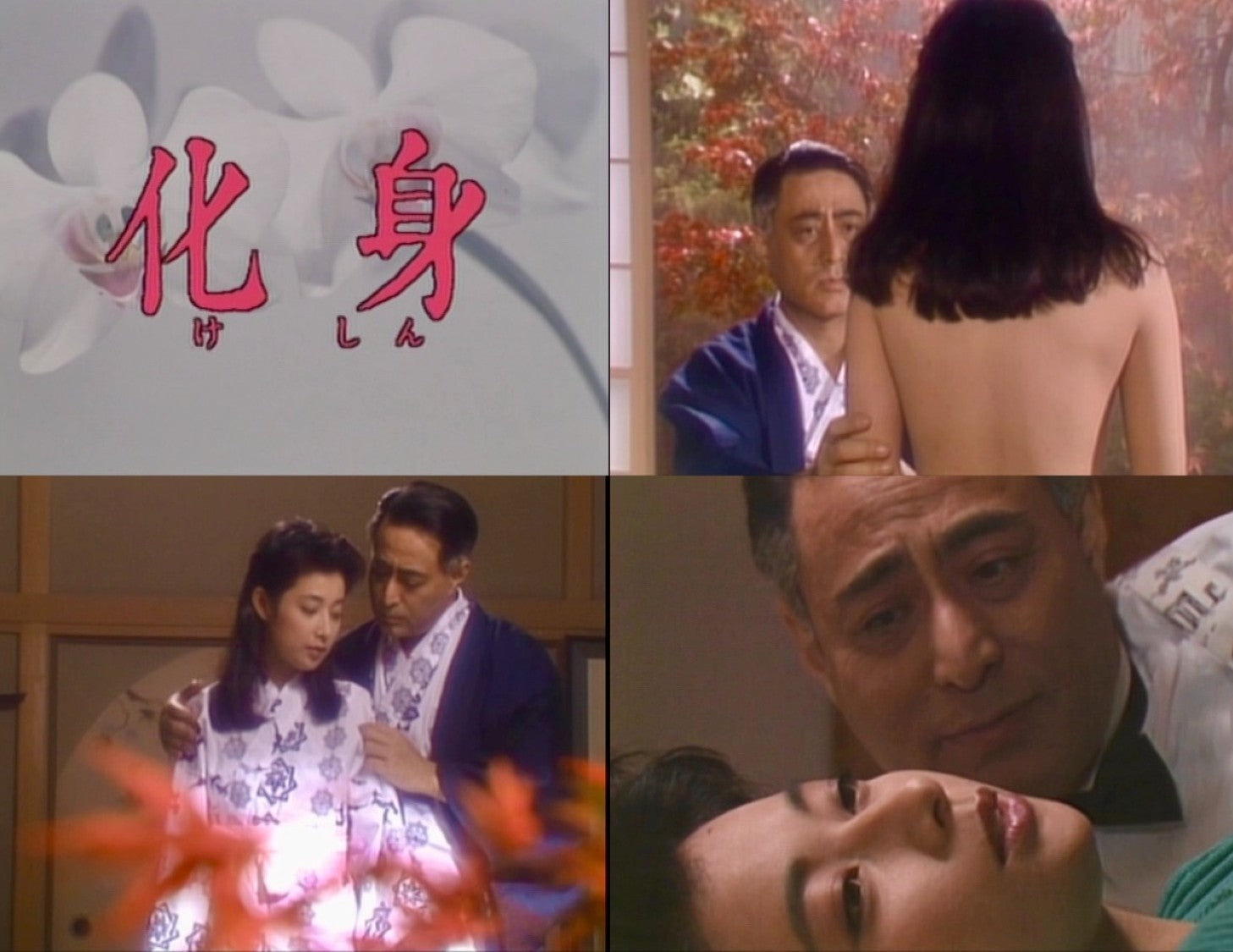 化身 コレクターズＤＶＤ