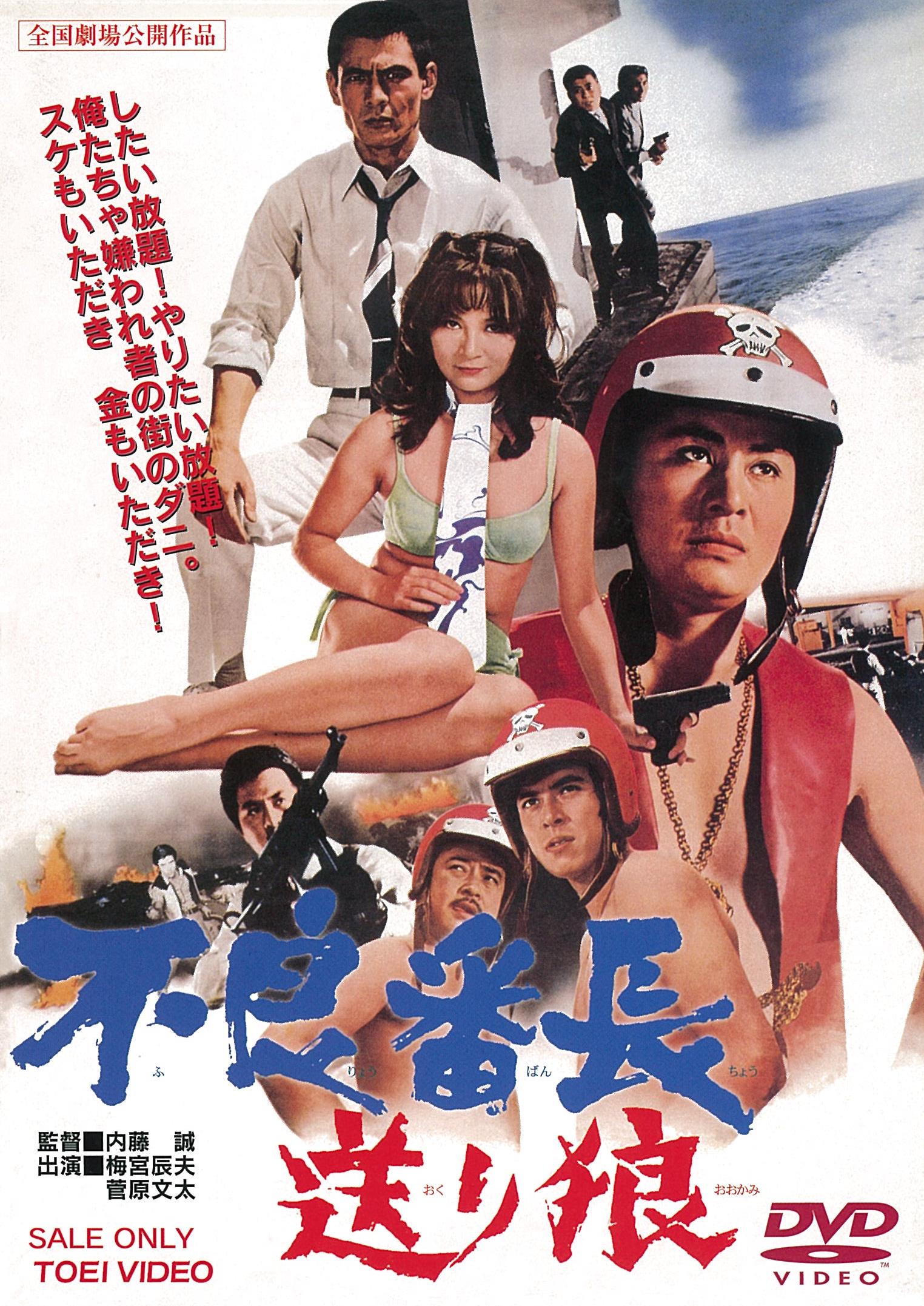 不良番長　送り狼＜“東映 ザ・定番”シリーズ＞__DUTD02661.jpg