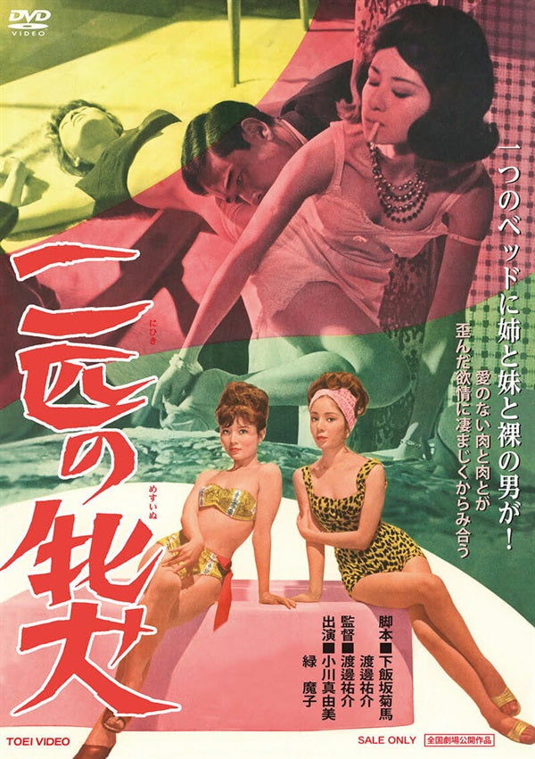 二匹の牝犬[R‐18+]__DUTD20564.jpg