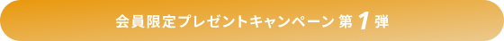 キャンペーンタイトル
